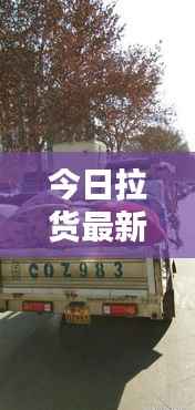 今日拉货最新动态速递