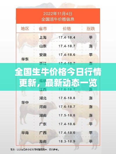 全国生牛价格今日行情更新,最新动态一览