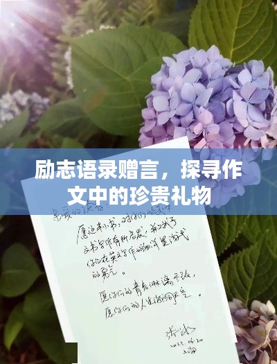 励志语录赠言，探寻作文中的珍贵礼物