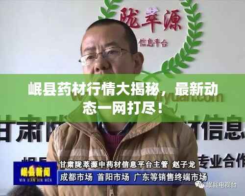 岷县药材行情大揭秘,最新动态一网打尽!