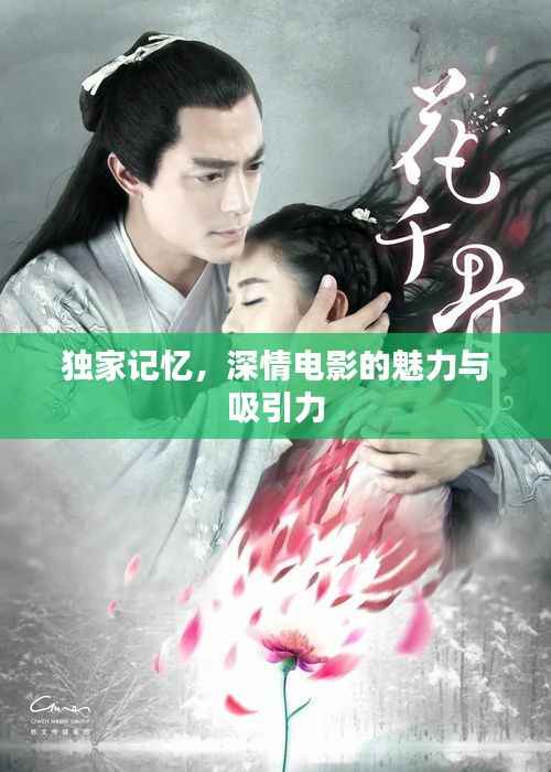 独家记忆,深情电影的魅力与吸引力