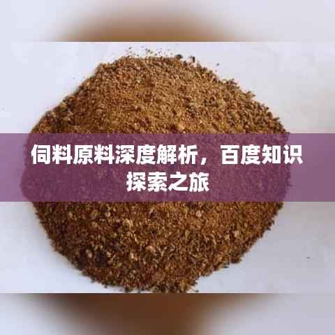 伺料原料深度解析,百度知识探索之旅