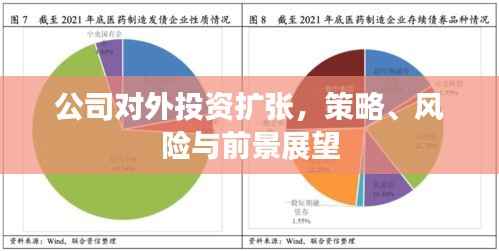 公司对外投资扩张,策略、风险与前景展望