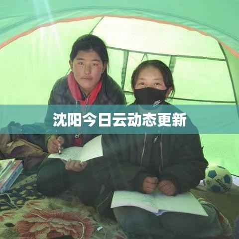 鸟骇鼠窜 第2页