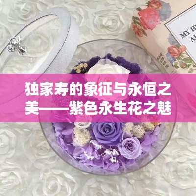 独家寿的象征与永恒之美——紫色永生花之魅